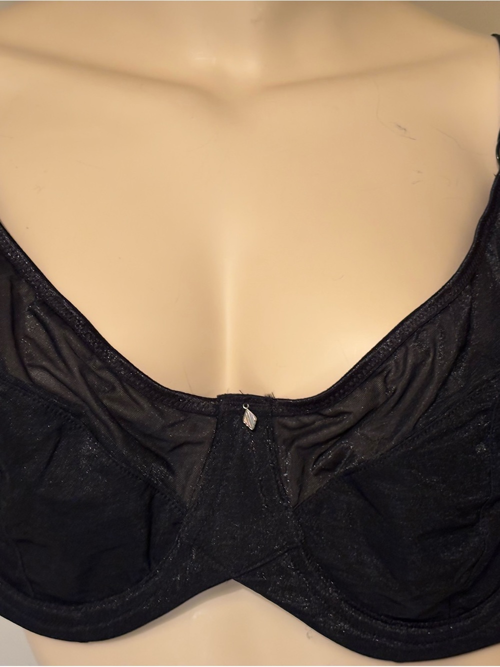 Deesse Lingerie Black Sheer Underwire Support Bra
